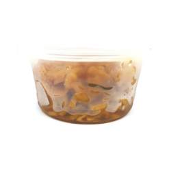 HARI HARI x 150 GR.