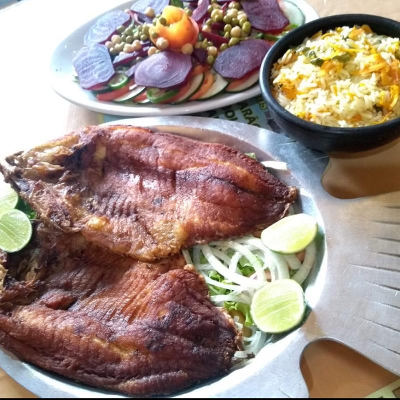 Tilápia