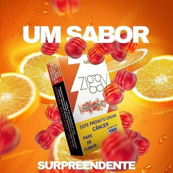 ziggy laranjola tropical