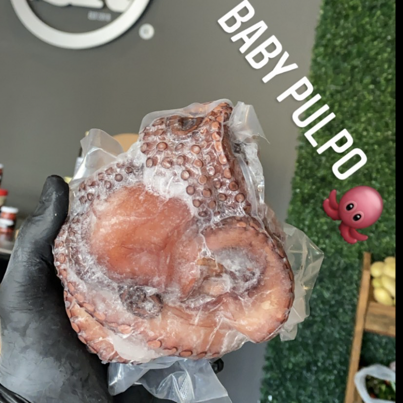 Pulpo Baby