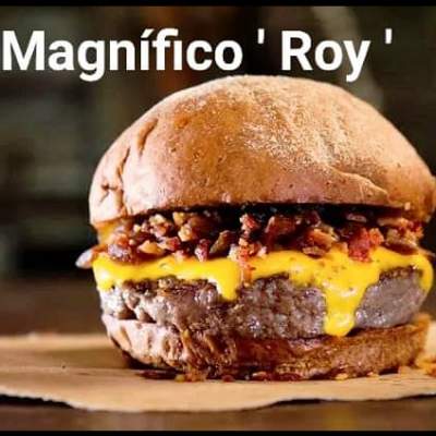 MAGNÍFICO ROY