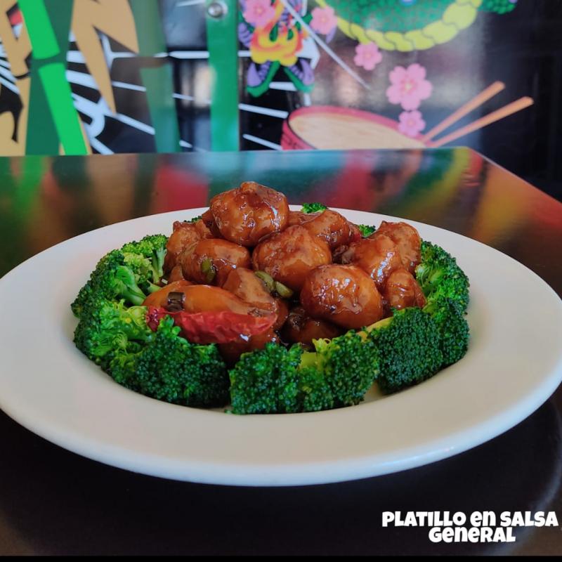 PLATILLO EN SALSA GENERAL