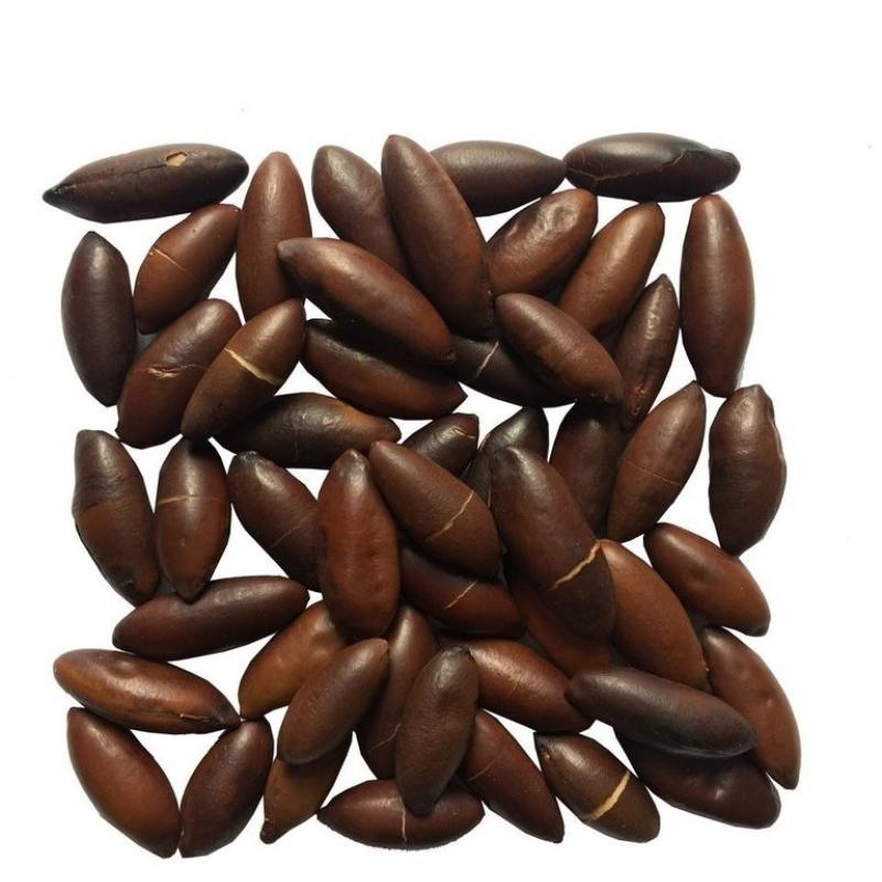 221 - Castanha de Baru (100g)