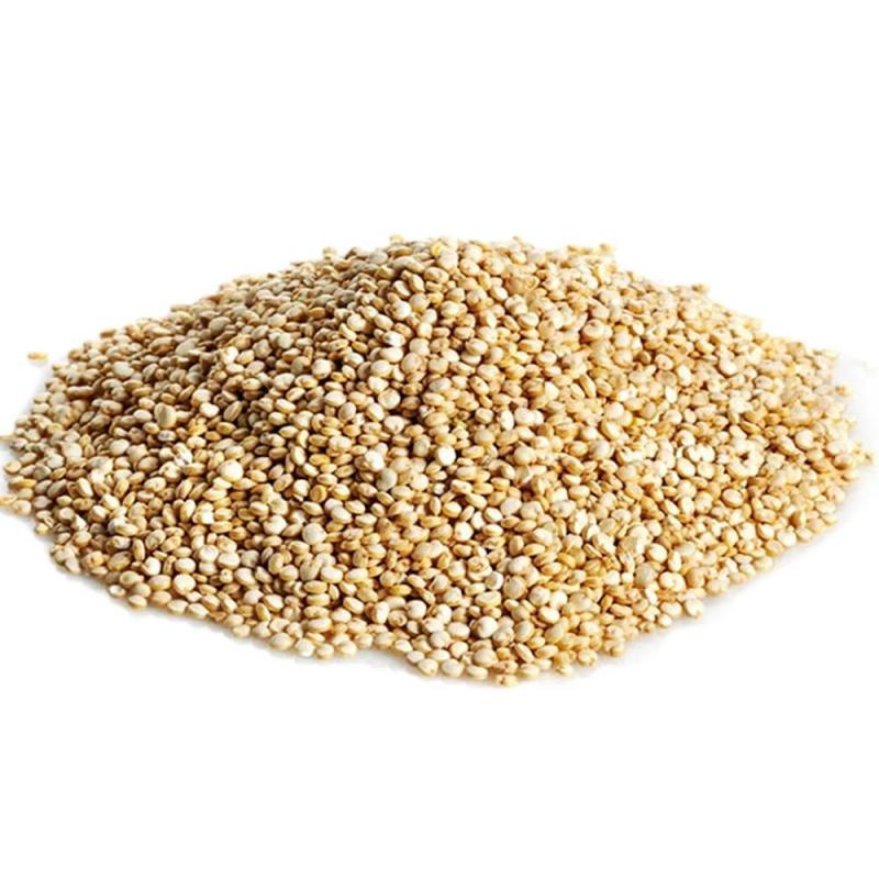 107 - Quinoa em Grãos (100g)