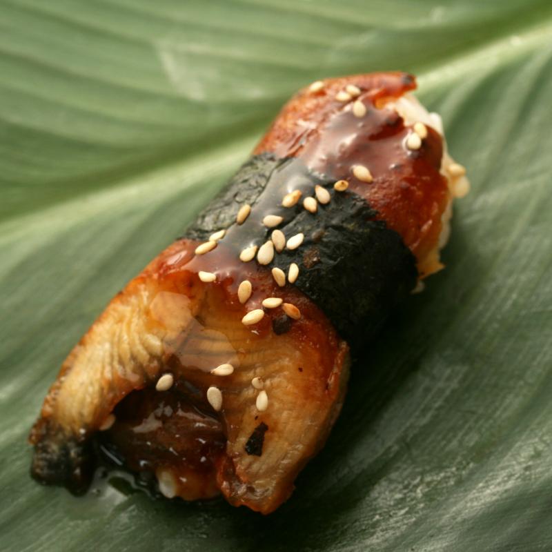 NIGUIRI ANGUILA