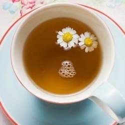 Infusión