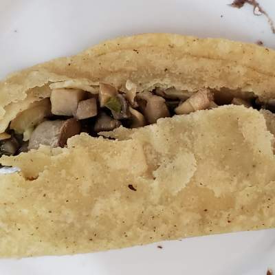 Hongos