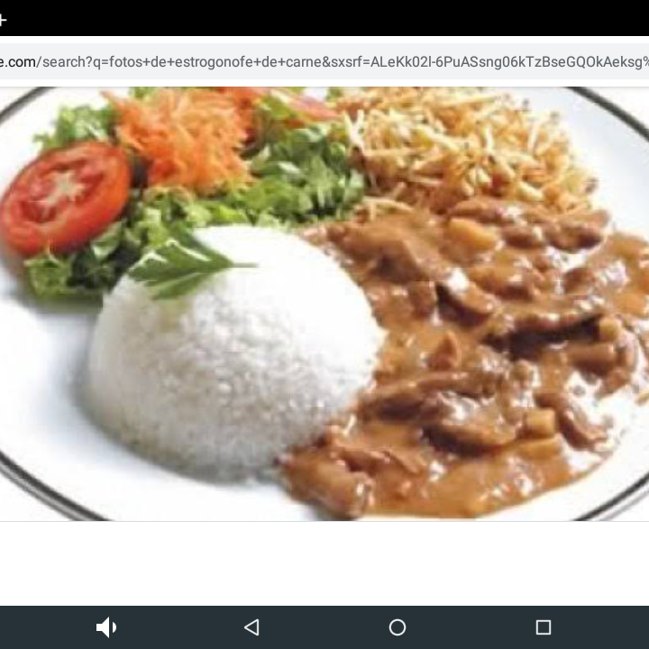 estrogonoff de filet