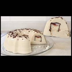 GELATINA DE GANSITO