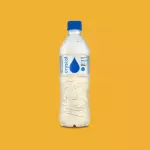 Água sem Gás 500Ml
