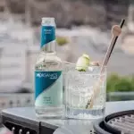 Tonic / Ginger beer