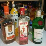 DOSE DE GIN