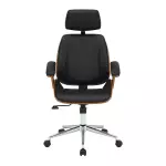 Sillón premier Ejecutivo