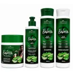 Kit Capilar Babosa 4x1