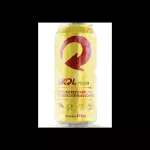 SKOL 269ml