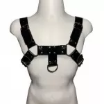 DX1815 - Arreio Masculino Hércules
