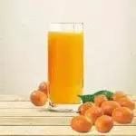 SUCO DE CAJÁ