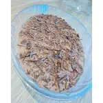 Mousse (família)