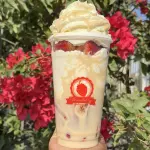 Mega fresa leche condensada 22 onz