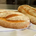 HOGAZA MASA MADRE TRADICIONAL
