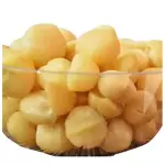 NUEZ DE MACADAMIA