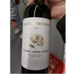 Santa Hortênsia Carmênere 750ml
