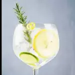 GIN TONIC