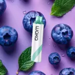Blueberry Mint