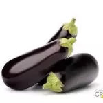 BERINJELA