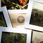 Postales Daisycam