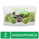 Salanova Hydroponic Lettuce