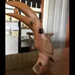 Tucano