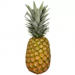 Special Pineapple Unit