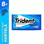 TRIDENT HORTELÃ