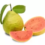 GOIABA