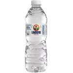 Água 500ml Lindoya