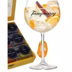 Gin Tanqueray c/ Especiarias