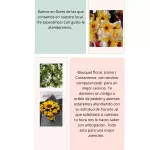 Producto 29