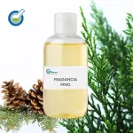 FRAGANCIA PINO