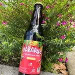 JAMAICA - MANZANILLA