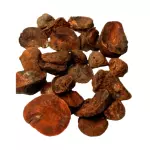 Noz de cola (sementes) - 50g