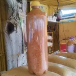 Farinha - Camarão e Pimenta