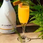 MIMOSAS