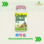 GINKGO BILOBA
