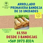 ARROLLADO PRIMAVERA BANDEJA DE 10 UN