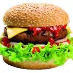 X-Salada Simples