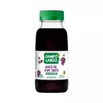 Suco de Uva Tinto 250ml Campo Largo