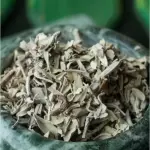 # SALVIA