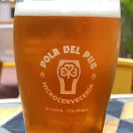 IPA Draft Pola de Pub