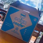Caixa Cooler + 2kg de gelo